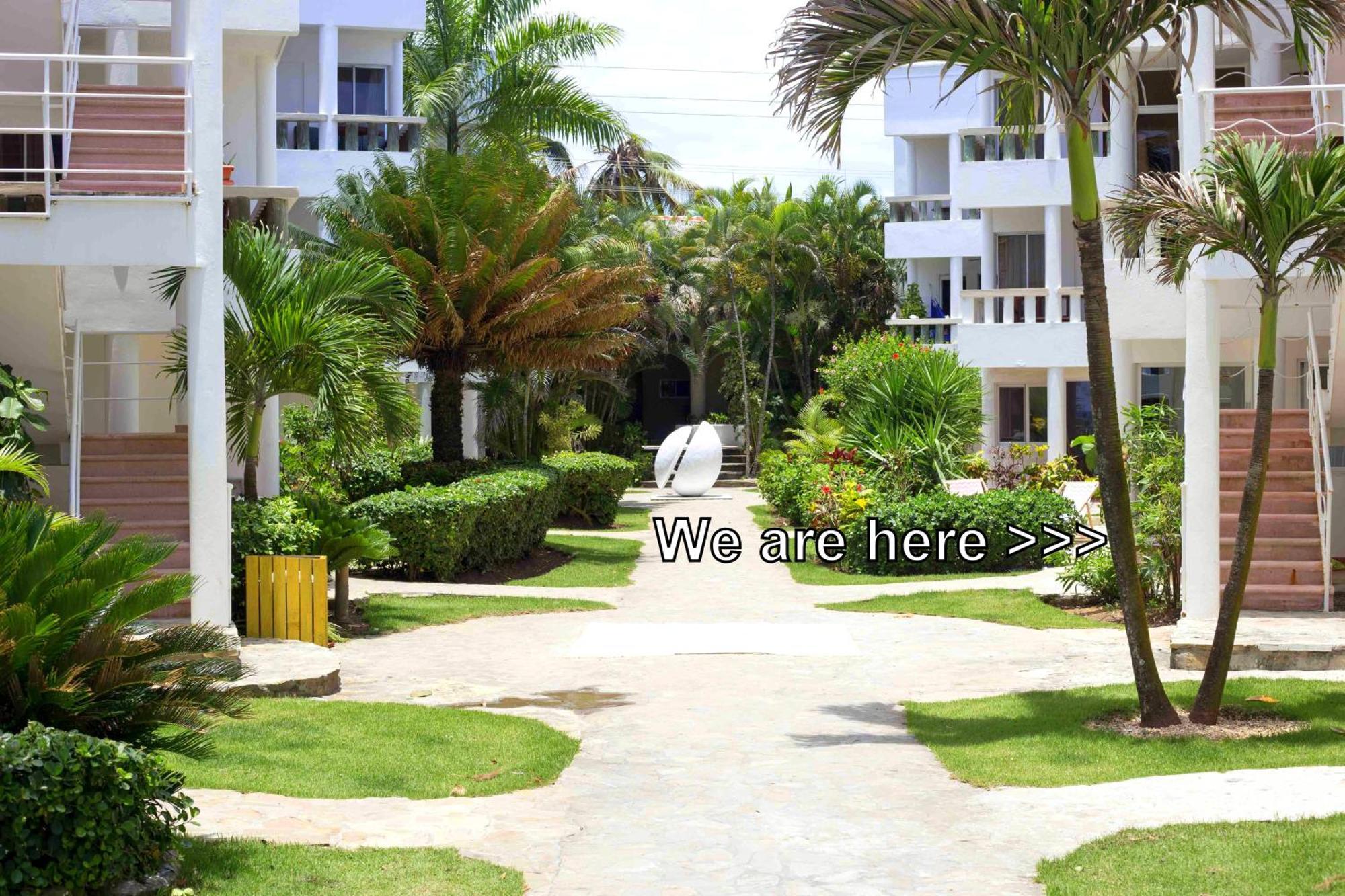 Condo Cabrinha - Direct On Kite Beach Cabarete Room photo